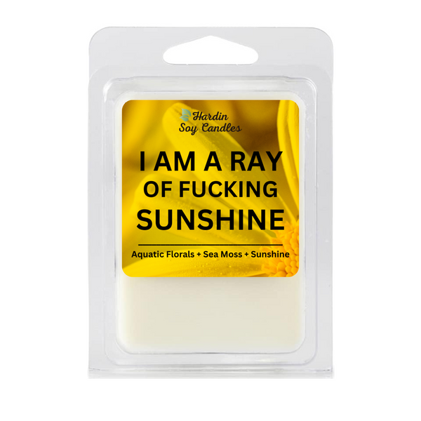 I Am a Ray of Fucking Sunshine Soy Melt