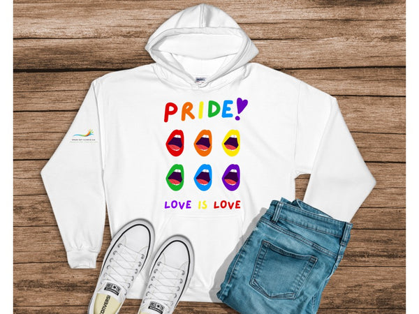 Pride Love is Love Speak Out Illinois – Fundraising Hoodie